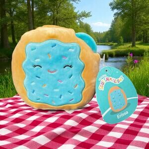 Squishmallows Erissa Blueberry Pop Tart Pastry Stuffed Animal Nursery Gift 6"
